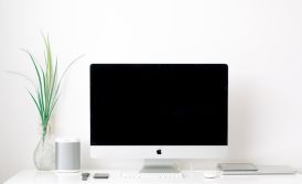 Register an IT company in Ukraine with Diia City