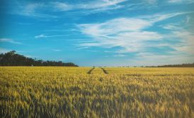 Who should get permanent residence in Ukraine?