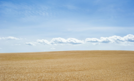 Grounds for getting a Residence Permit in Ukraine